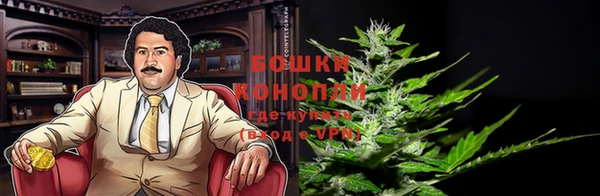 ГАЛЛЮЦИНОГЕННЫЕ ГРИБЫ Алзамай
