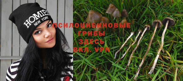 бутират Алексин