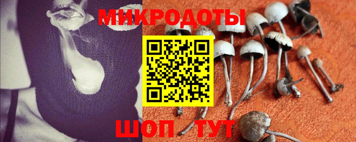 Ишимбай  Галлюциногенные грибы Cubensis  Галлюциногенные грибы мухоморы  Вход с VPN 